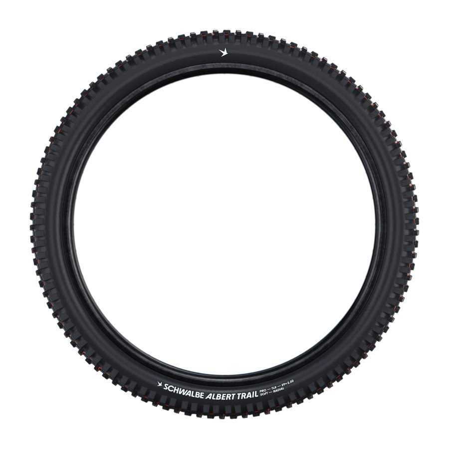 Vista lateral completa de Schwalbe Albert Trail Pro radial Soft 29 × 2,50 de catálogo anterior