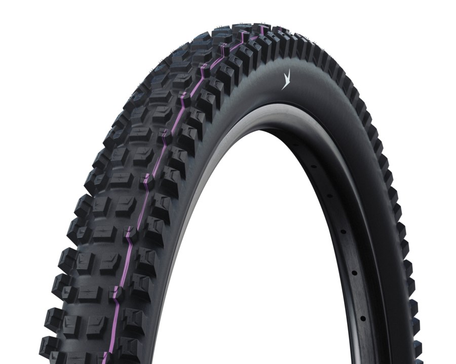 Schwalbe Albert radial ULTRA SOFT de la gama actual con banda violeta