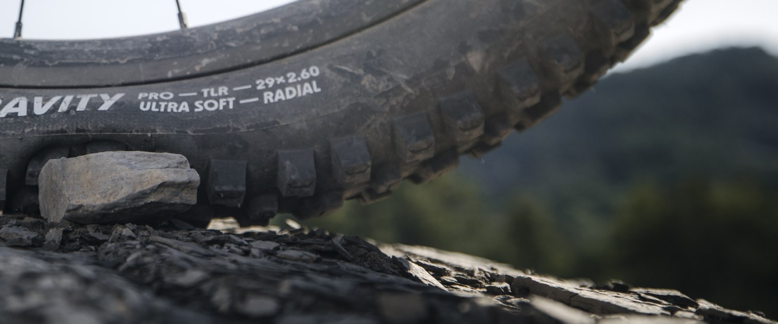Schwalbe Albert Gravity Pro radial ADDIX Ultra Soft de lanzamiento deformándose sobre una piedra