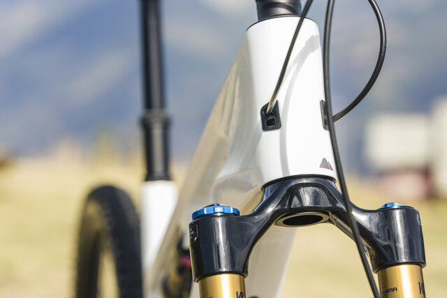 Cable entry at the head tube of the Canyon Spectral ON CF 9