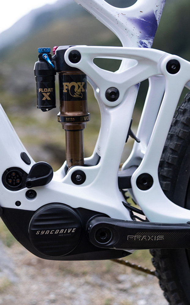 SyncDrive motor and Maestro suspension on the Liv Intrigue Advanced E+ 0